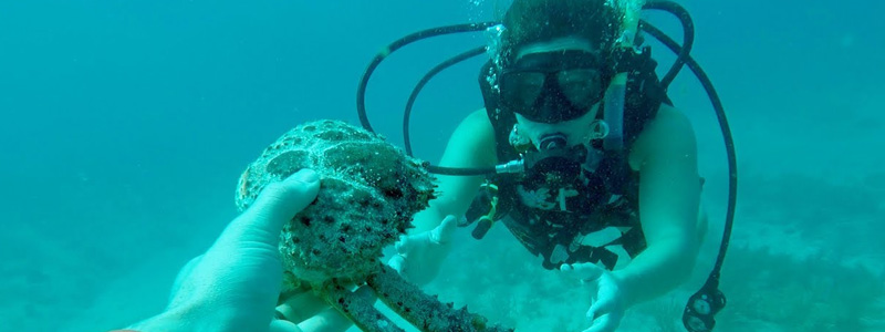 Florida Keys Diving Vacation