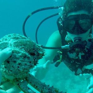 Florida Keys Diving Vacation Paradise
